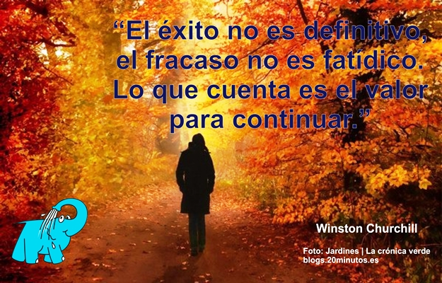 El éxito no es definitivo, el fracaso no es fatídico. Lo que cuent es el valor para continuar.